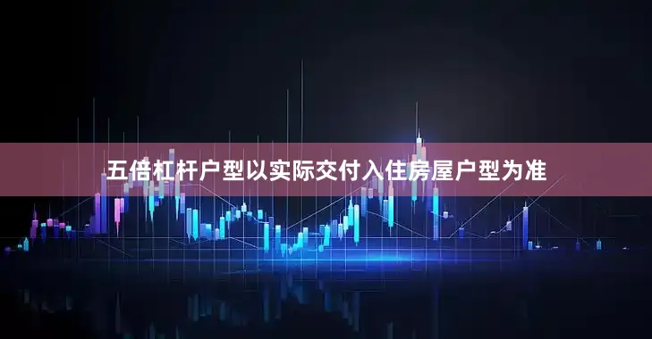 五倍杠杆户型以实际交付入住房屋户型为准