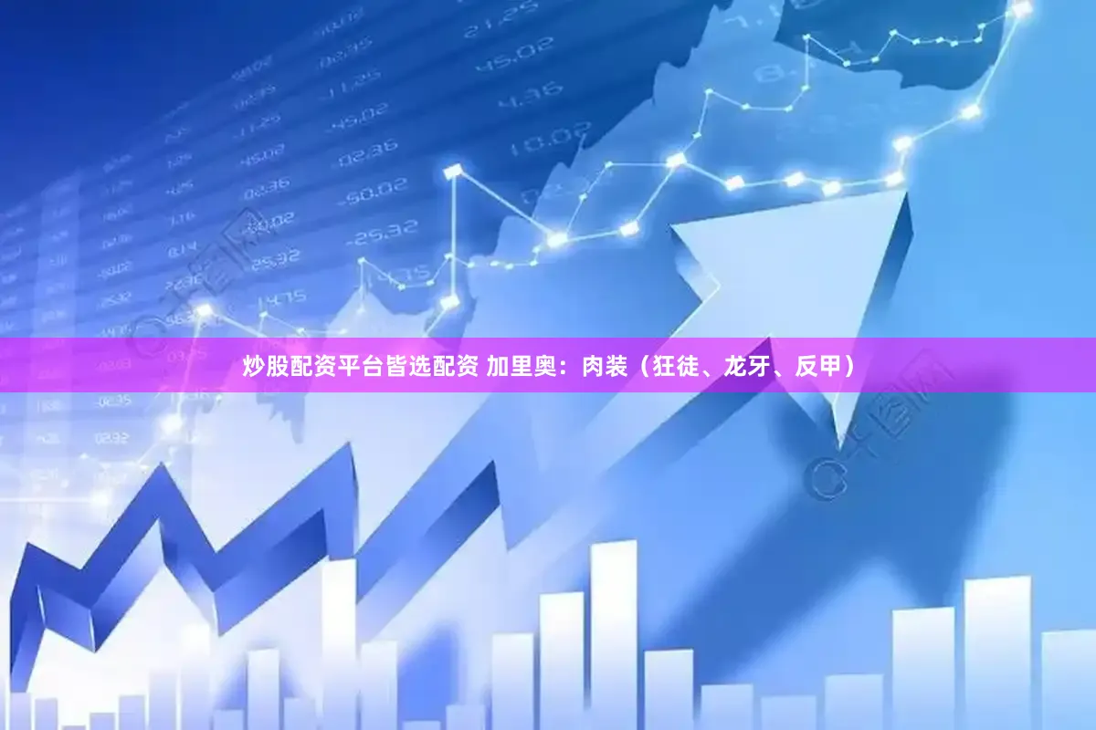 炒股配资平台皆选配资 加里奥:肉装(狂徒、龙牙、反甲)