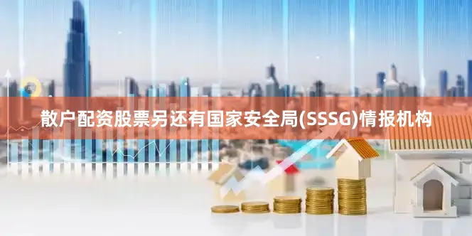 散户配资股票另还有国家安全局(SSSG)情报机构