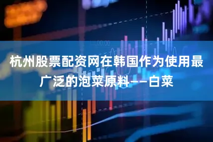 杭州股票配资网在韩国作为使用最广泛的泡菜原料——白菜