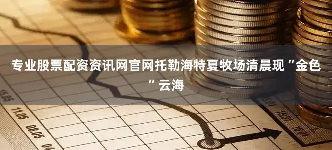 专业股票配资资讯网官网托勒海特夏牧场清晨现“金色”云海
